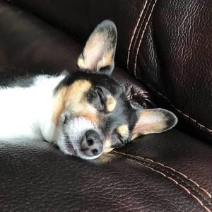 Meet your Posher, Joyce